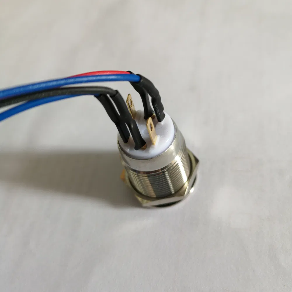 19mm Ring LED Flat Head Momentary 1no1nc Stainless Steel Push Button Electric Switch