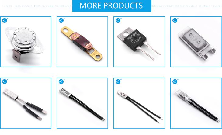 250V 15A 16A Iron Thermal Fuse