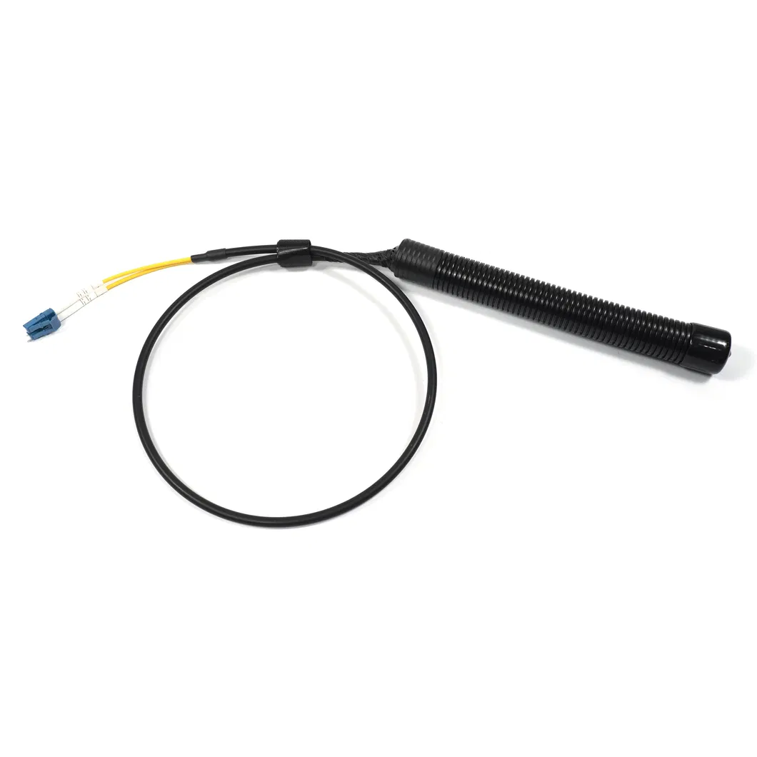 Abalone China Made LC-LC mm Duplex 2fo Outdoor 3.0mm Fiber Patch Cord for Ftta