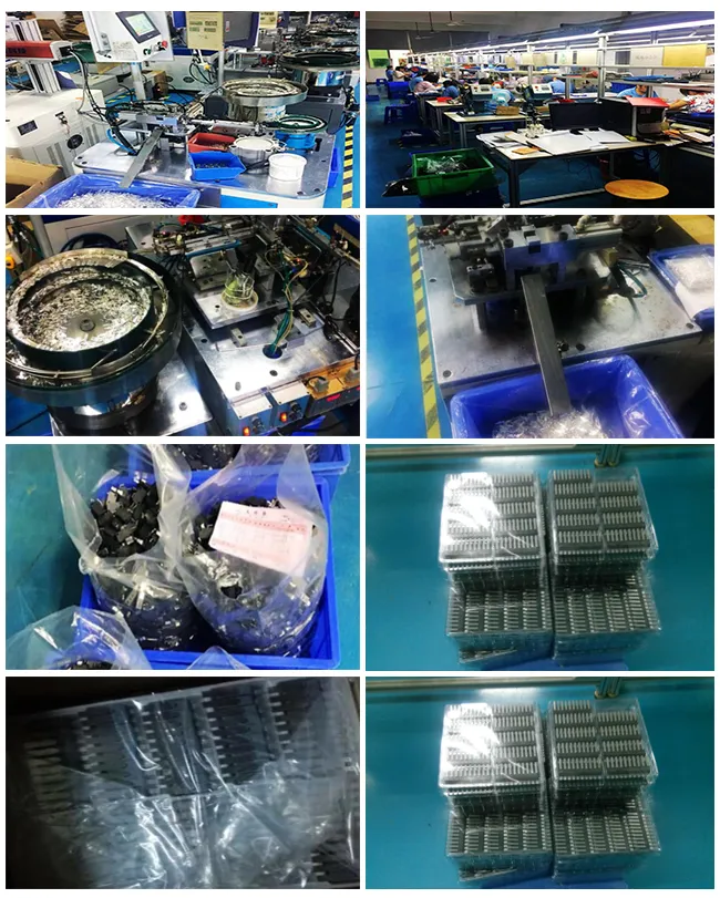 Auto Spare Part Micro Switch for Home Appliance