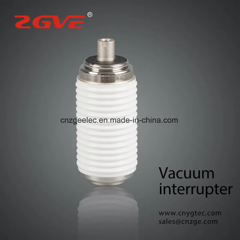 Fzn25 12kv Vacuum Interrupter for Indoor Load Breaking Switch (102B)