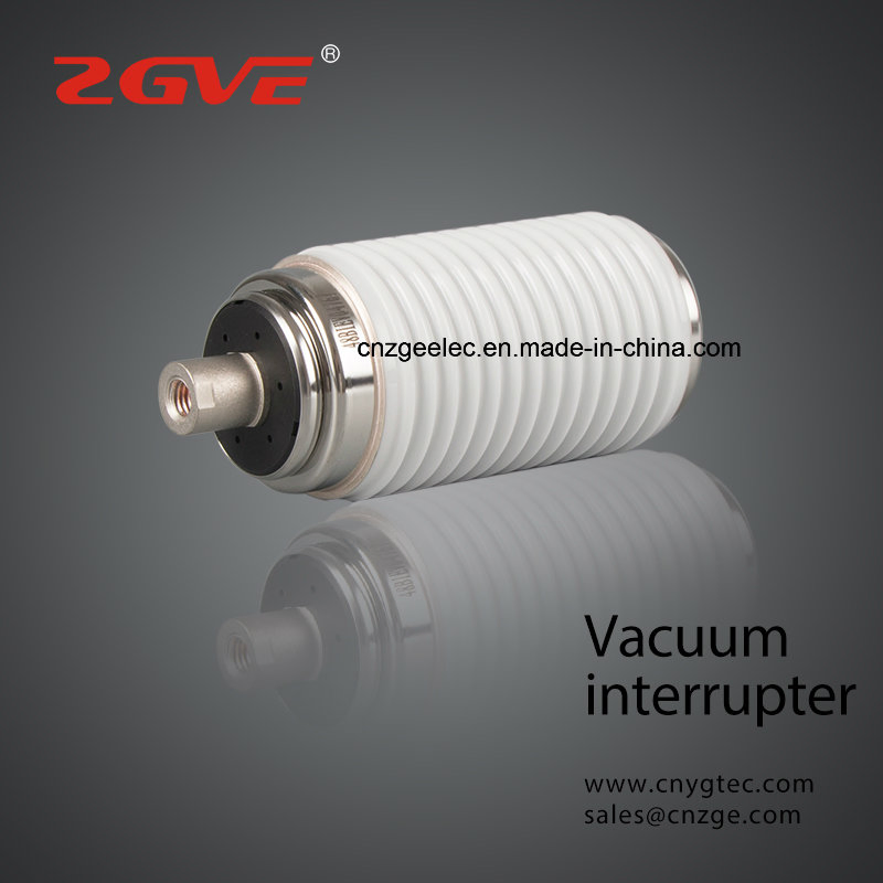 Fzn25 12kv Vacuum Interrupter for Indoor Load Breaking Switch ( 102B )