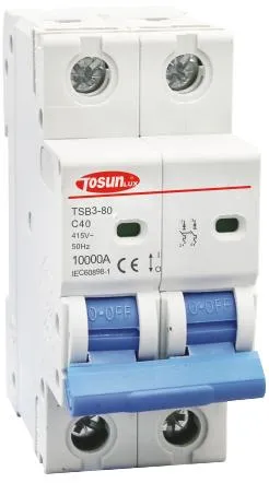 High Breaking Capacity 80A Miniature Circuit Breaker