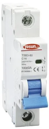 High Breaking Capacity 80A Miniature Circuit Breaker