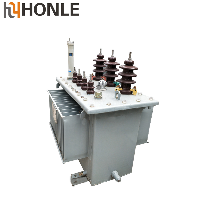 Honle S13 -M Series 50kv Oil-Immersed Power Voltage Transformer