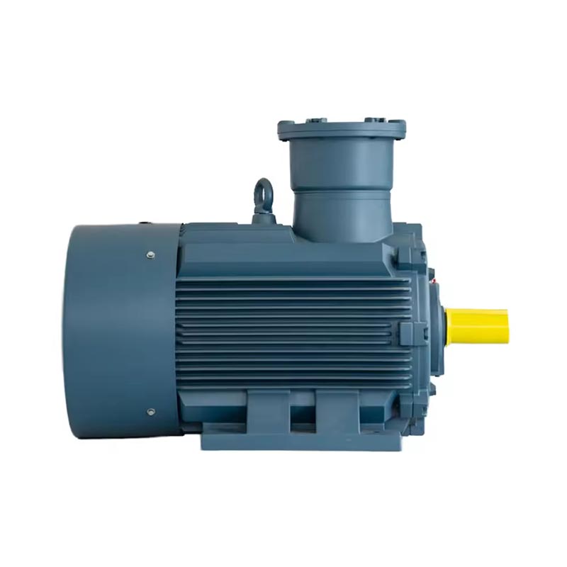 Three Phase Asynchronous Motor