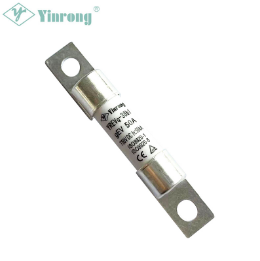 EV Automotive and EVSE Fuse