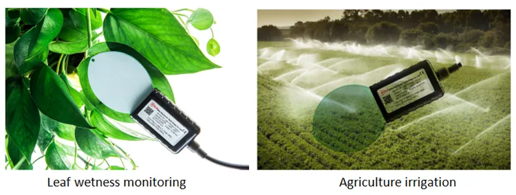 Rika Rk300-04 CE Certified System Control Leaf Wetness Meter Moisture Transmitter Sensor