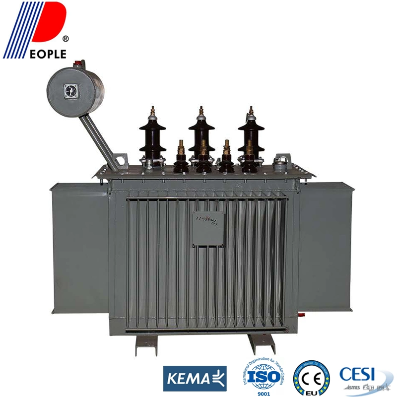 S9 S11 Serious 11kv 300kVA Oil Immersed Distribution Transfomer