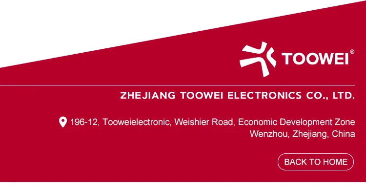Toowei (on) -off 2 Position Waterproof Magnetic Toggle Switch Retro 10A
