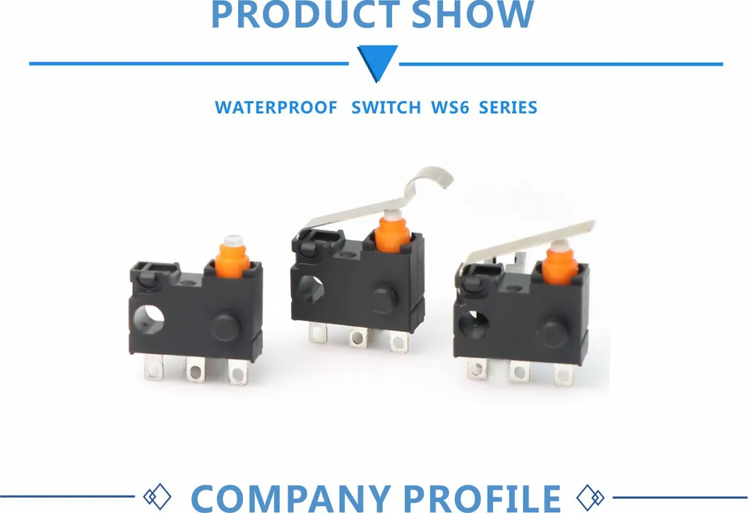 Ws6-T6n-F150A Dong Nan Automobile Door Lock Electric Suction Door Micro Switch