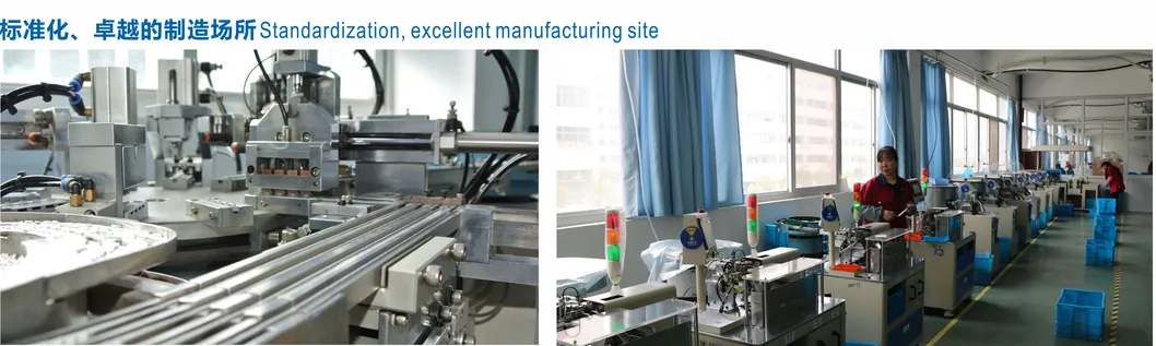 Zhejiang Wenzhou Yueqing Dong Nan Electric Vehicle Parts Waterproof Micro Switch IP67